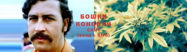 прущий лед Ельня